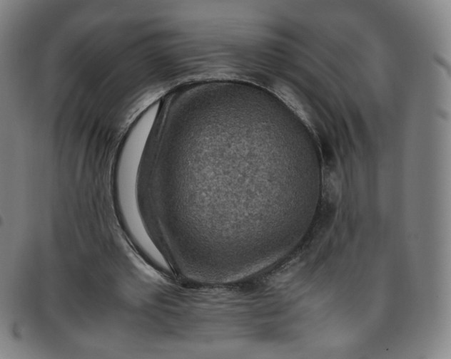 X0000097480389200803071721