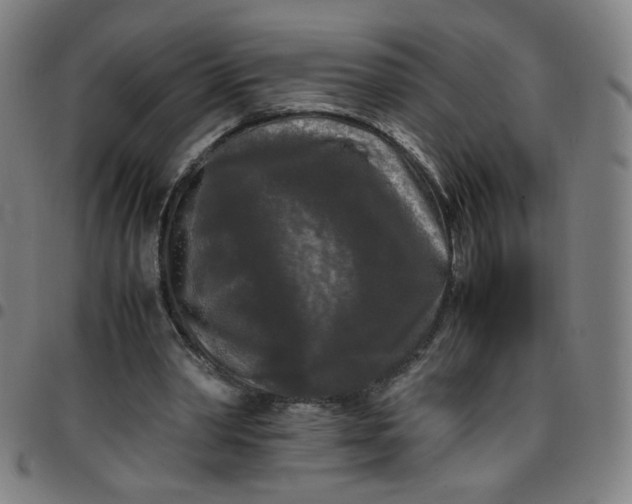 X0000097480390200803071721