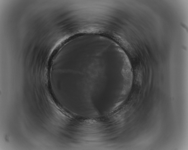 X0000097480392200803071721