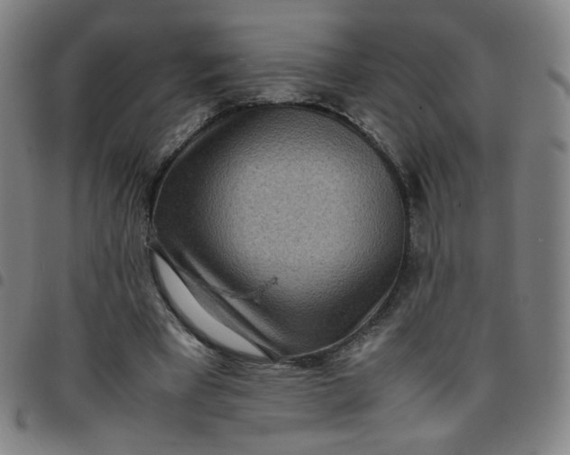 X0000097480393200803071721