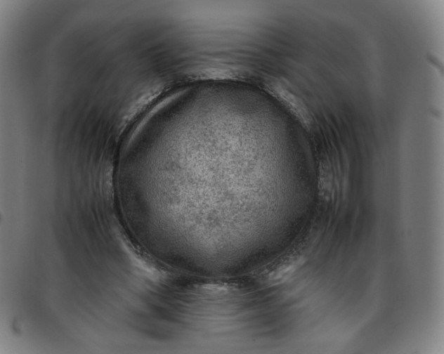 X0000097480394200803071721