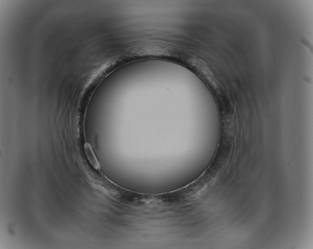 X0000097480395200803071721