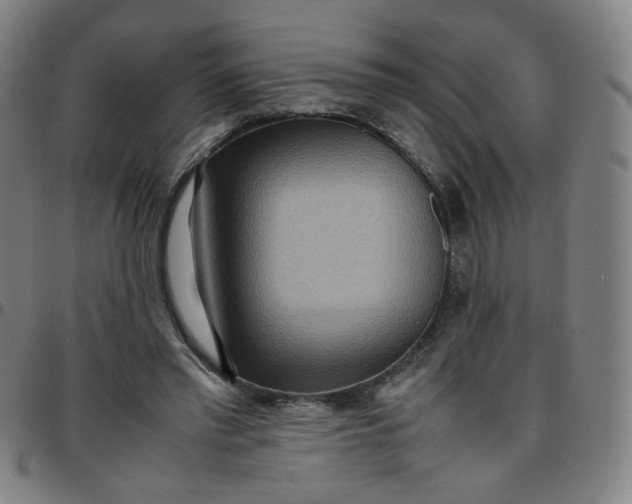 X0000097480397200803071721