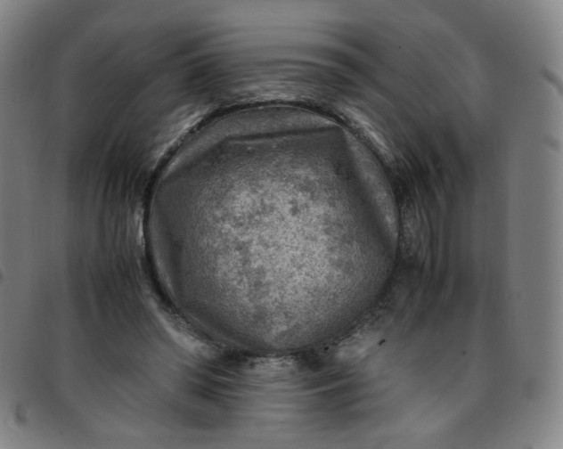 X0000097480398200803071721