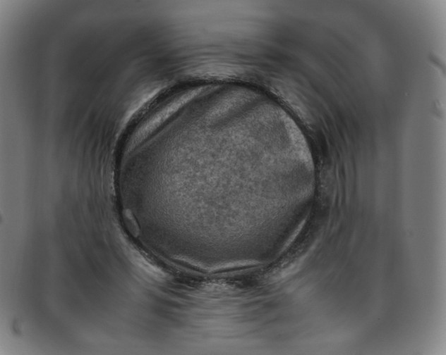 X0000097480399200803071721