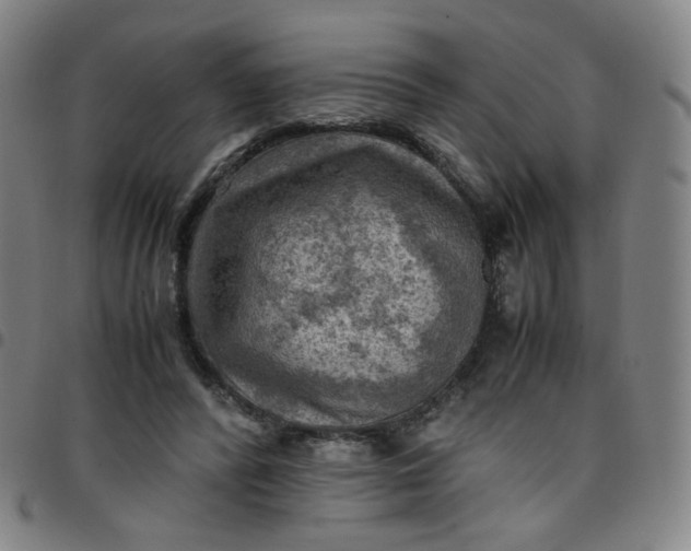 X0000097480400200803071721