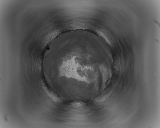 X0000097480402200803071721