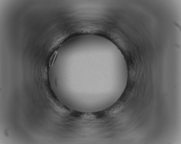 X0000097480403200803071721