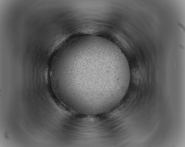 X0000097480404200803071721