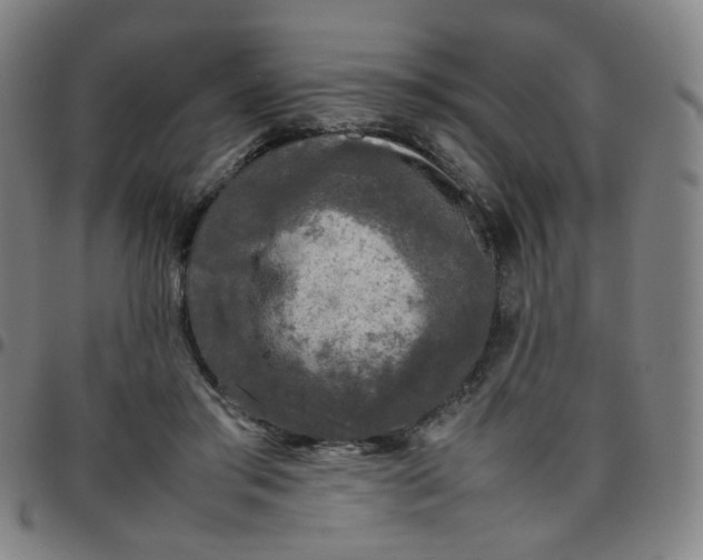 X0000097480405200803071721