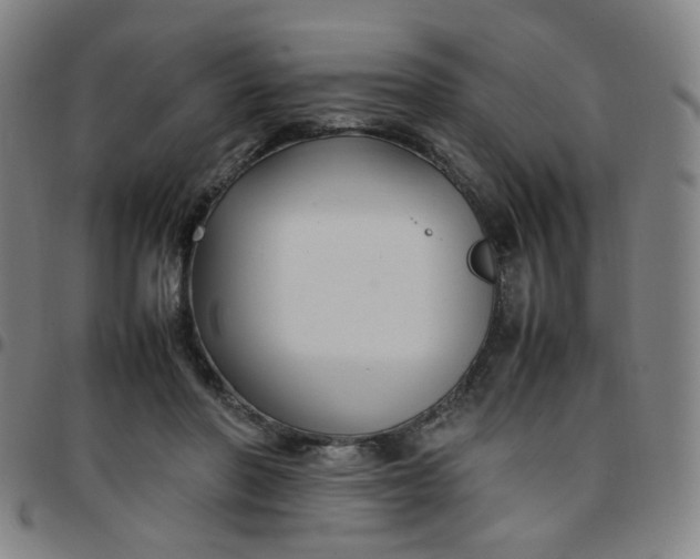 X0000097480406200803071721