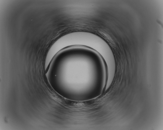 X0000097480409200803071721