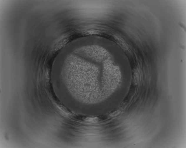 X0000097480410200803071721