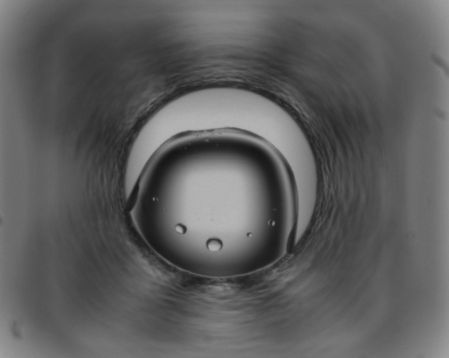 X0000097480411200803071721