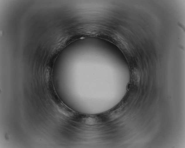 X0000097480412200803071721