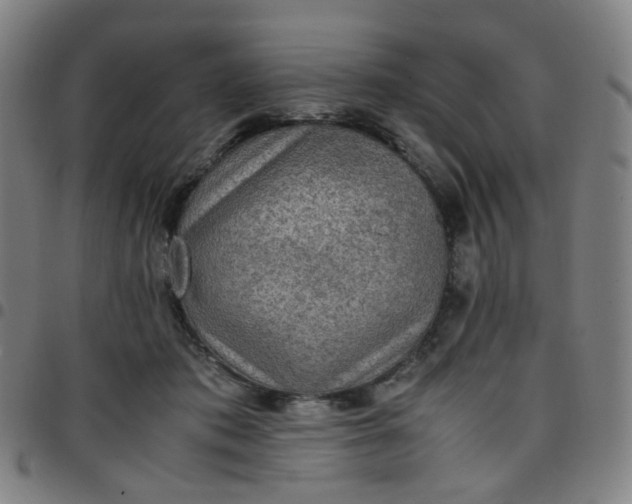 X0000097480413200803071721