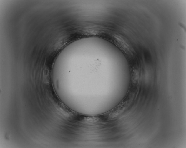 X0000097480414200803071721