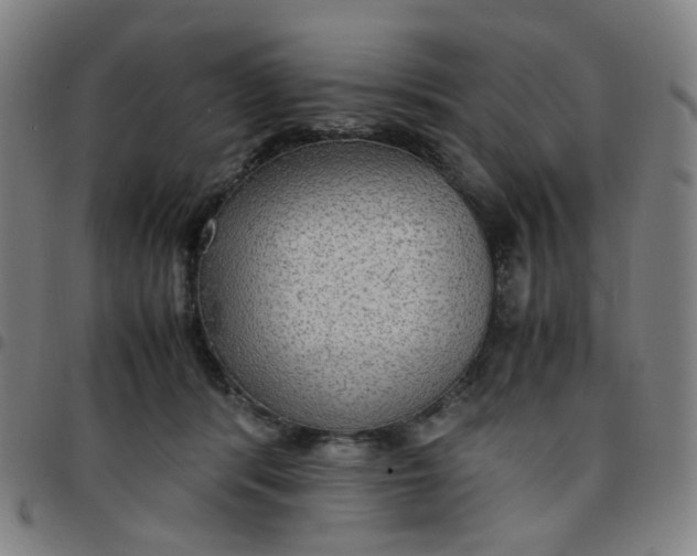 X0000097480416200803071721