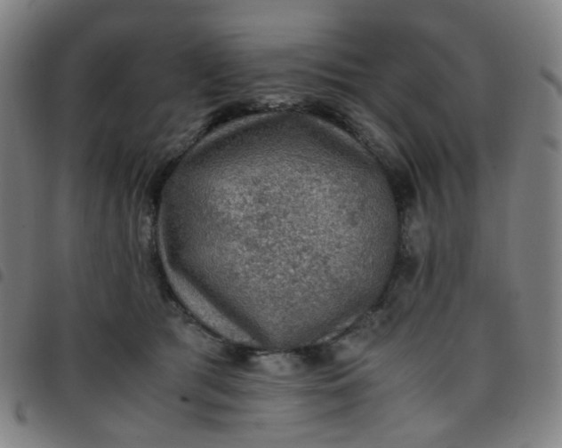 X0000097480417200803071721