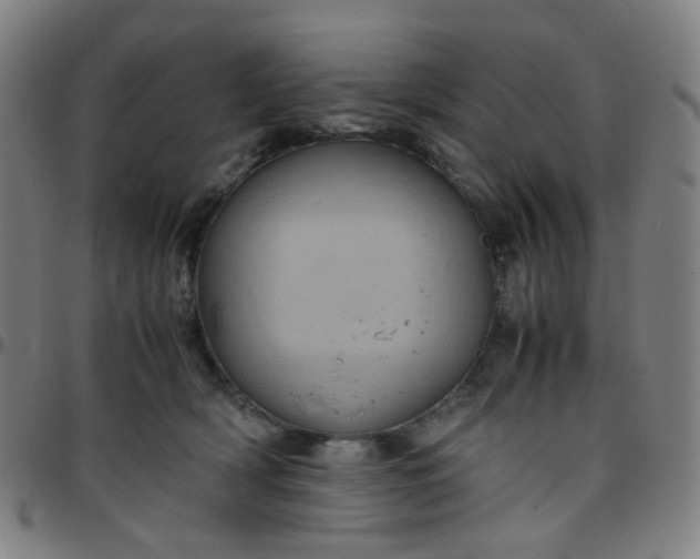 X0000097480418200803071721