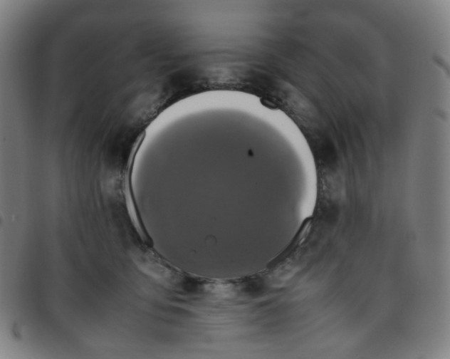 X0000097480419200803071721