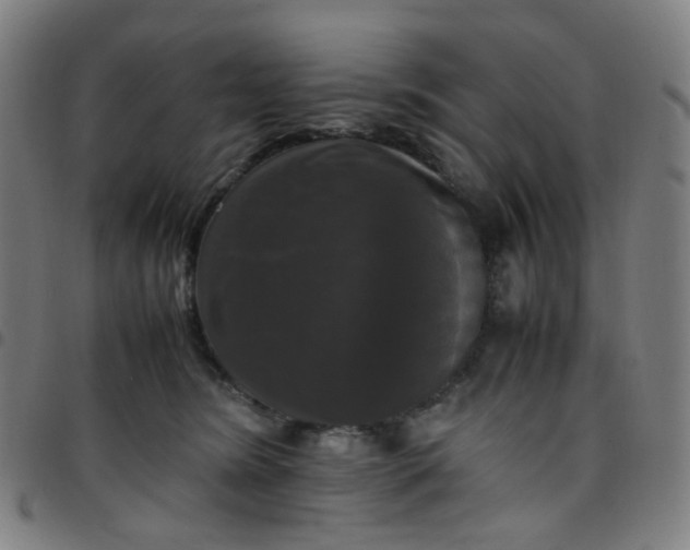 X0000097480420200803071721