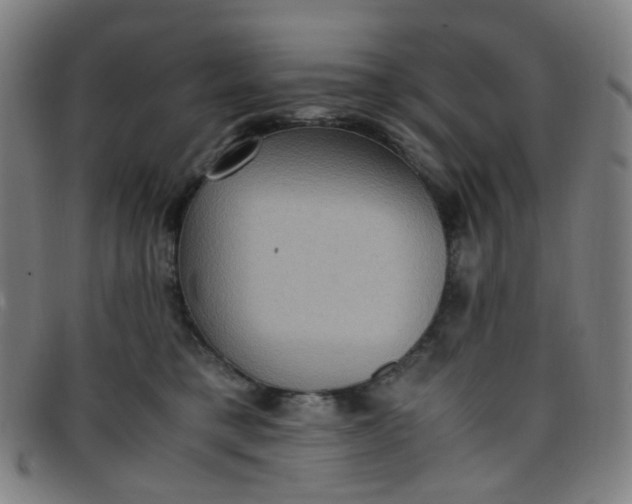 X0000097480421200803071721