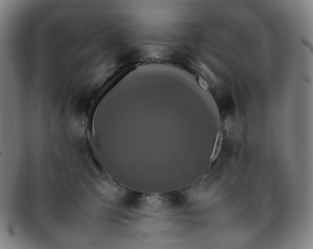 X0000097480423200803071721