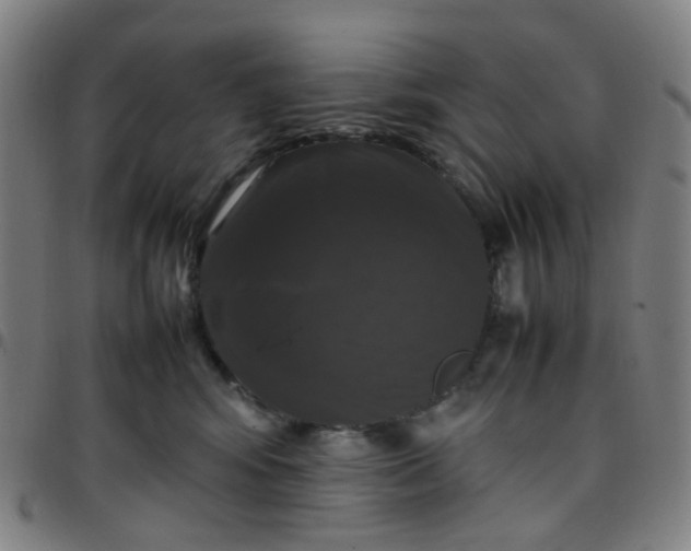 X0000097480424200803071721