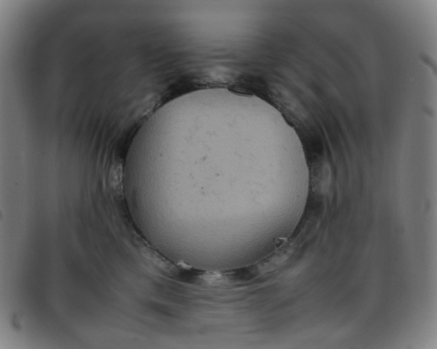 X0000097480425200803071721