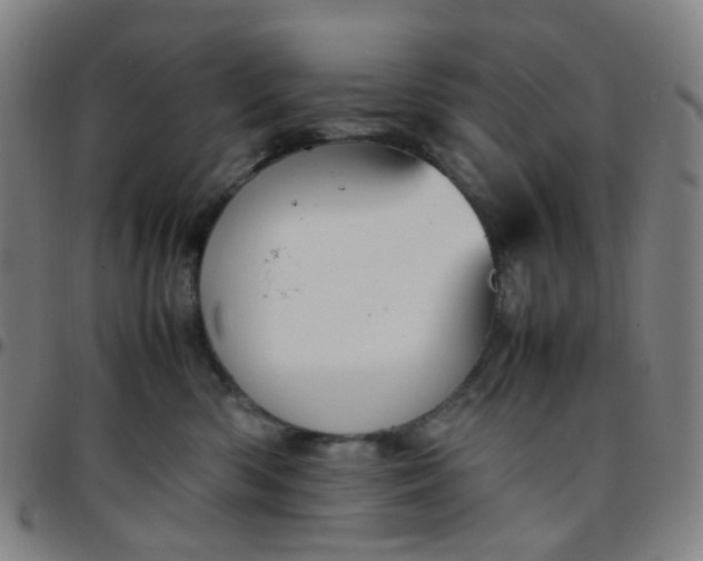 X0000097480426200803071721