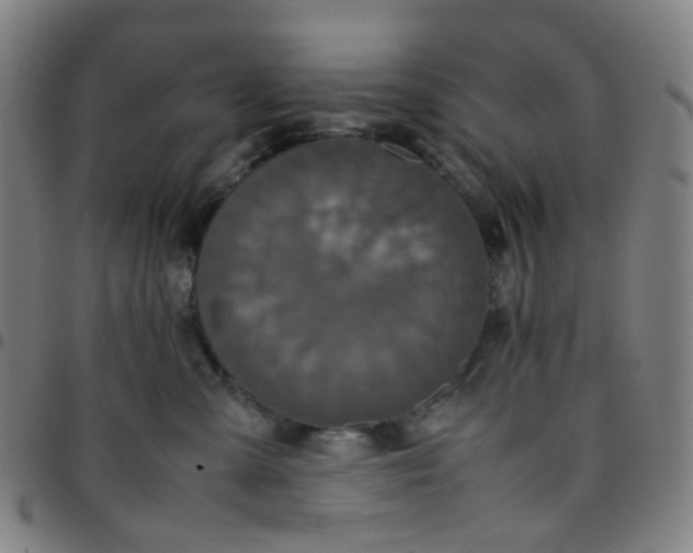 X0000097480427200803071721