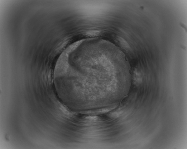 X0000097480428200803071721