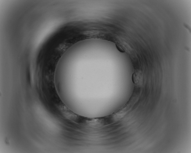 X0000097480430200803071721