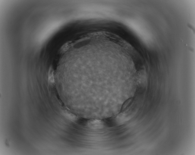 X0000097480431200803071721