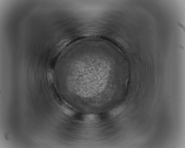 X0000097480432200803071721