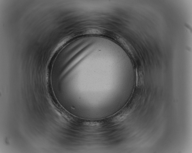 X0000097480435200803071720