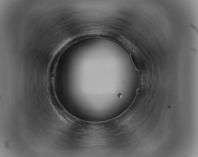 X0000097480436200803071720