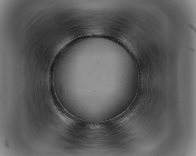 X0000097480439200803071720