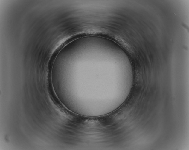 X0000097480440200803071720