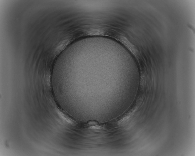 X0000097480441200803071720