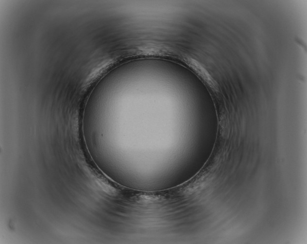 X0000097480442200803071720