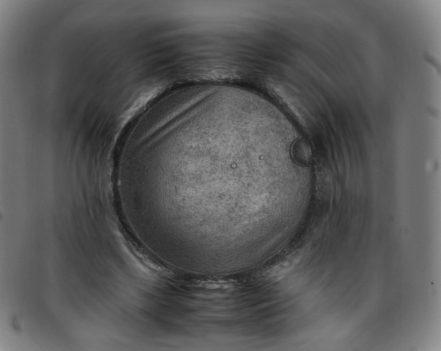 X0000097480443200803071720