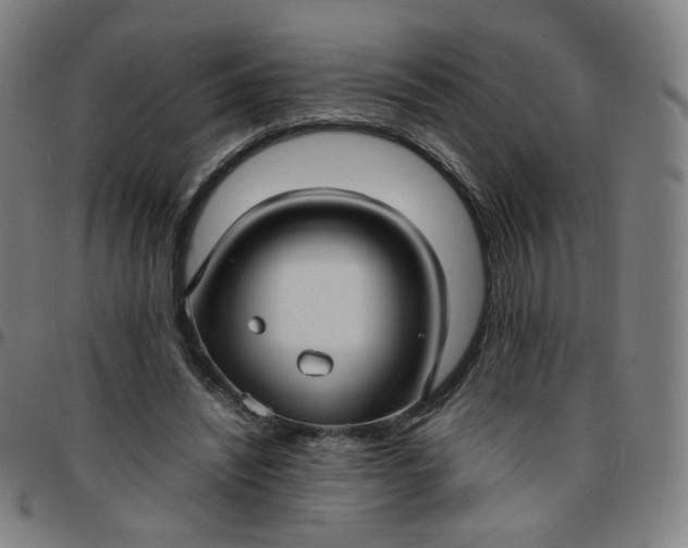 X0000097480444200803071720