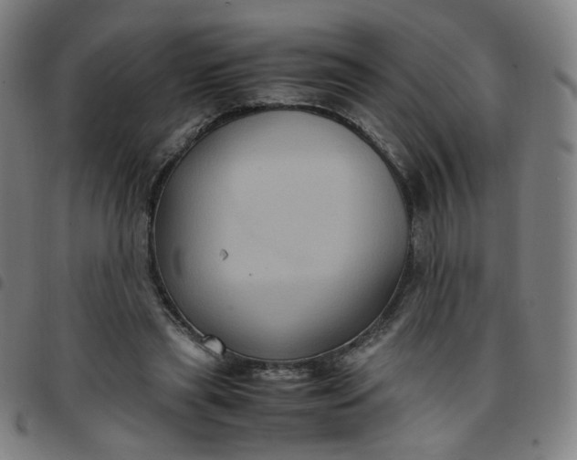 X0000097480445200803071720