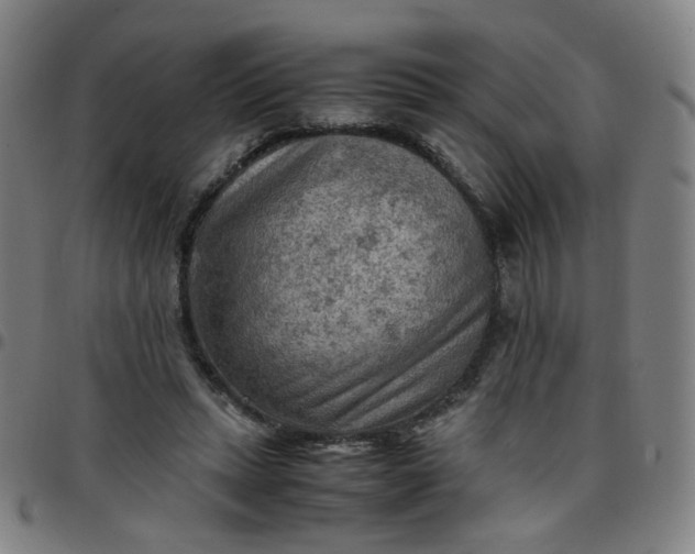 X0000097480447200803071720