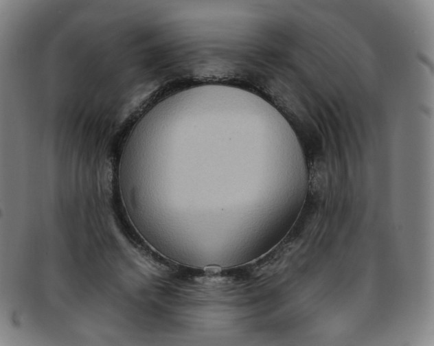 X0000097480448200803071720