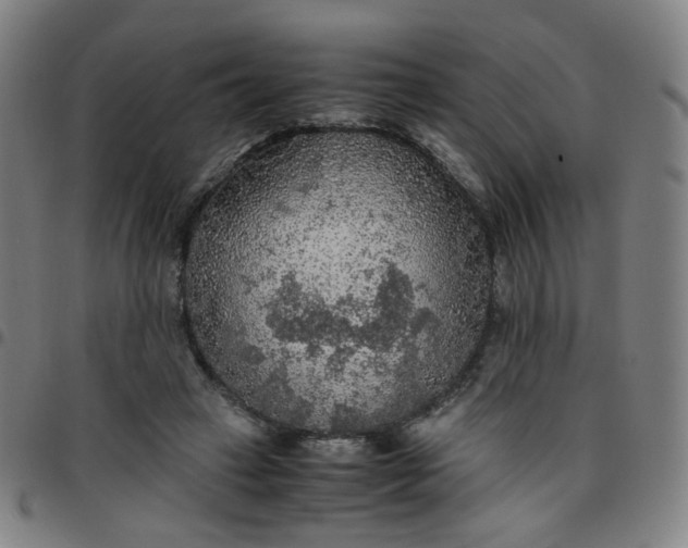 X0000097480449200803071720