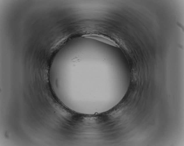 X0000097480450200803071720