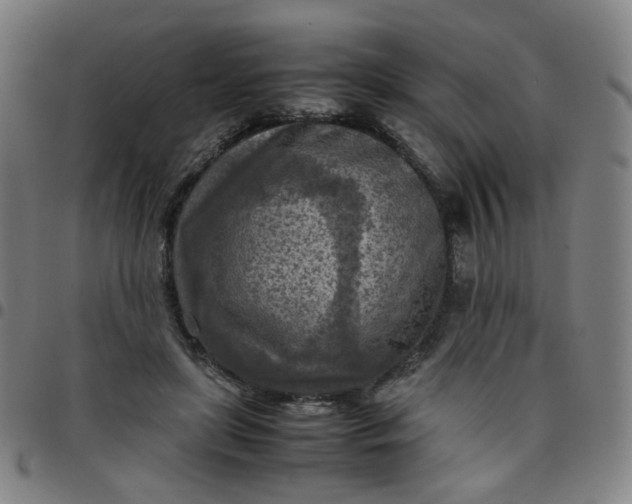 X0000097480451200803071720